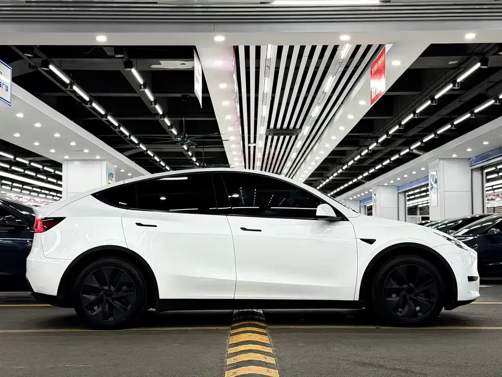 Tesla Model Y — фото 9