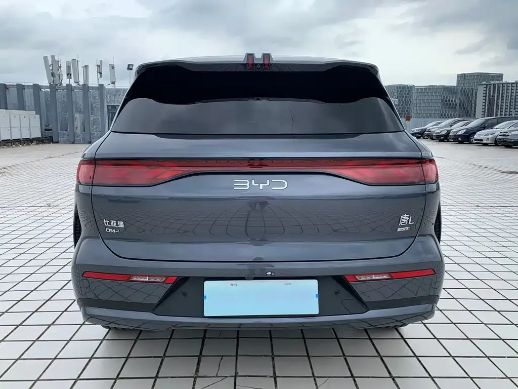 BYD Tang L — фото 4