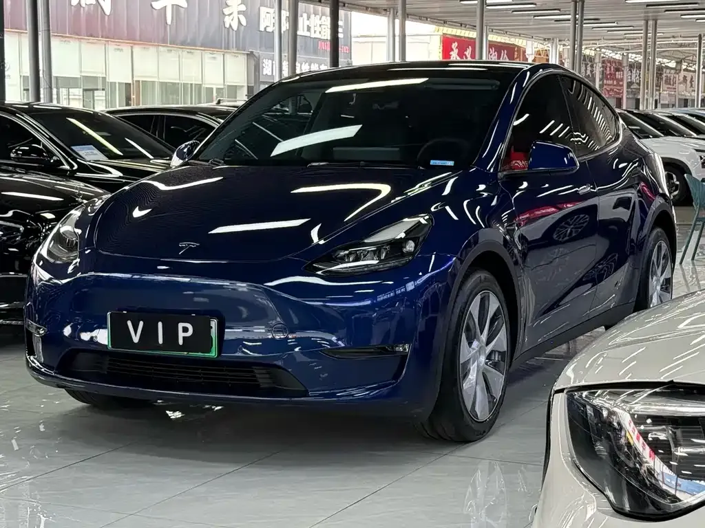 Tesla Model Y — фото 1