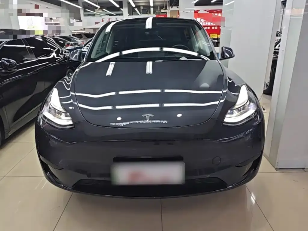 Tesla Model Y — фото 2