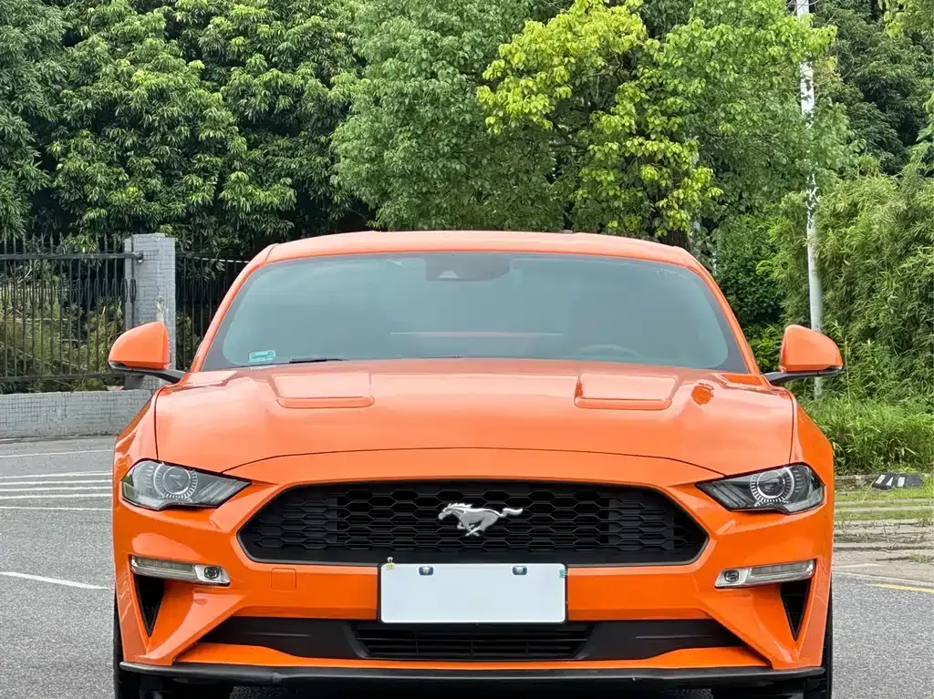 Ford Mustang — фото 1