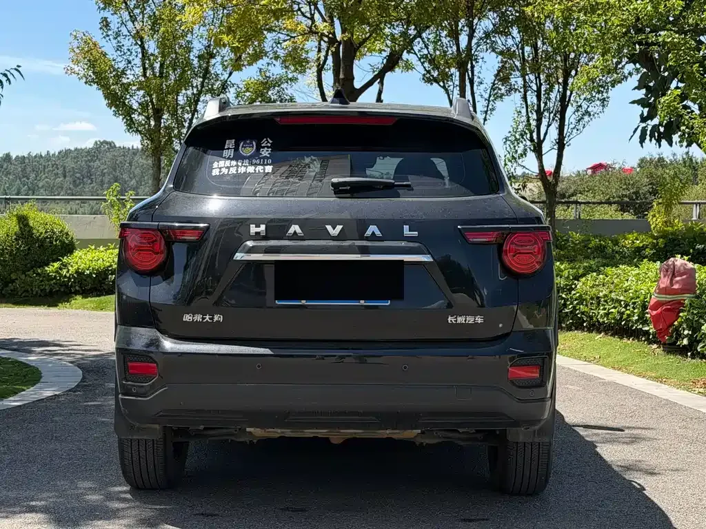 Haval Big Dog PLUS — фото 9