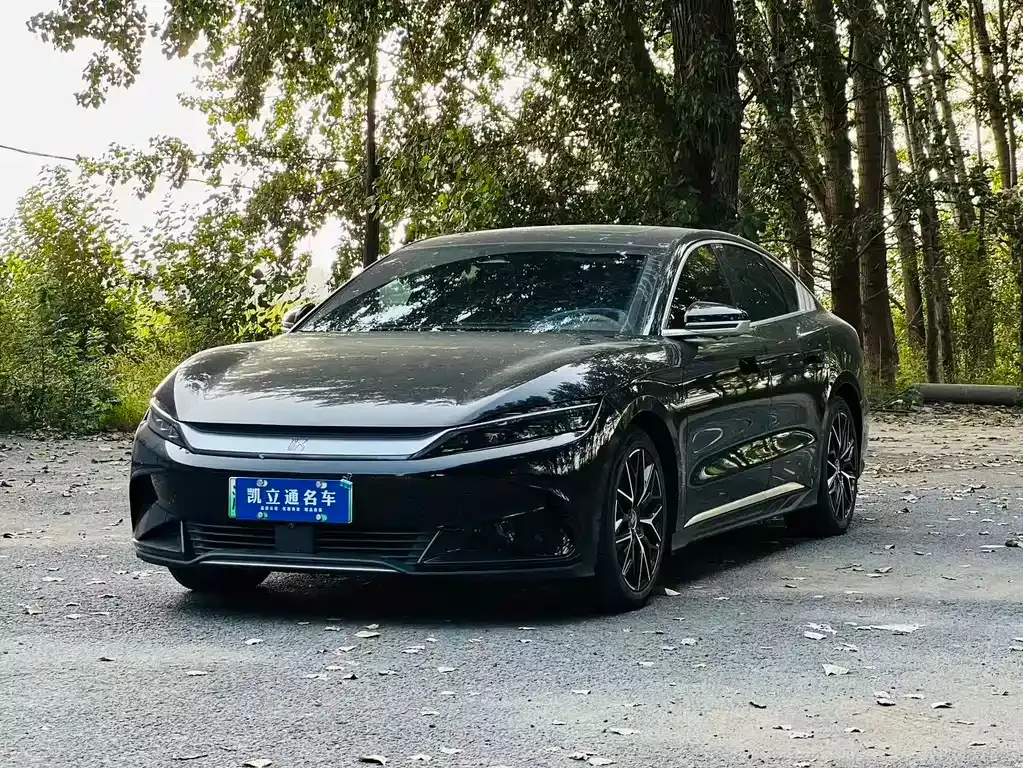 BYD Han — фото 1