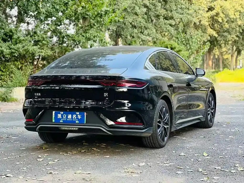 BYD Han — фото 10