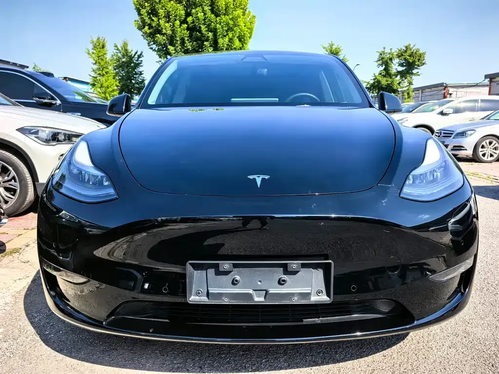 Tesla Model Y — фото 8