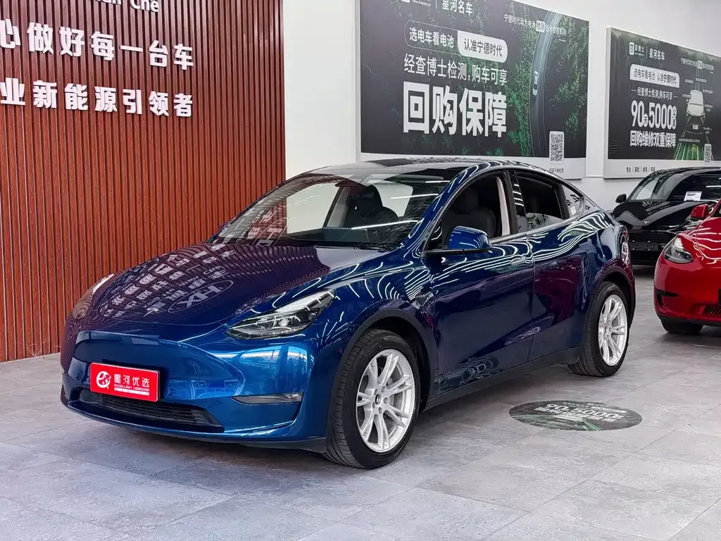 Tesla Model Y — фото 1
