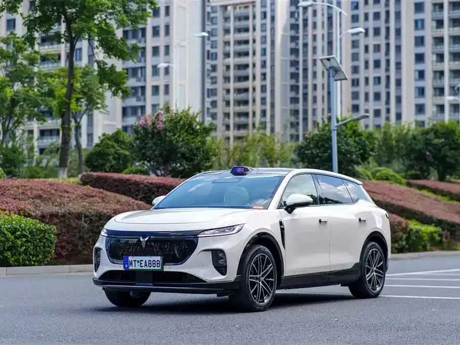 VOYAH Zhiyin — фото 1
