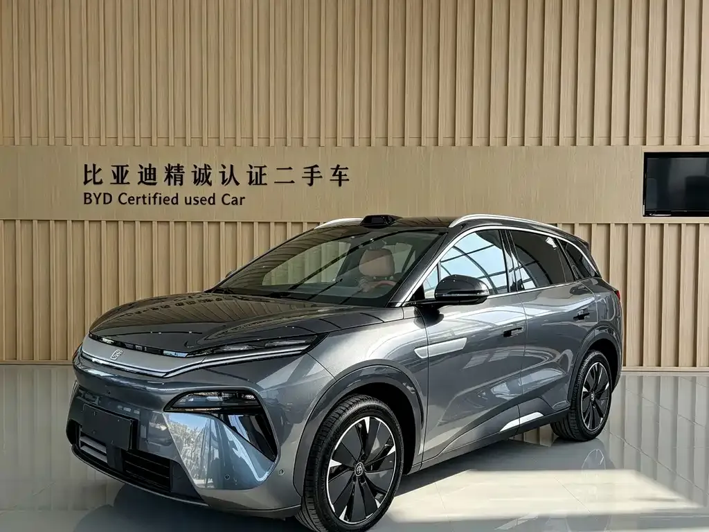 BYD Tang L — фото 1