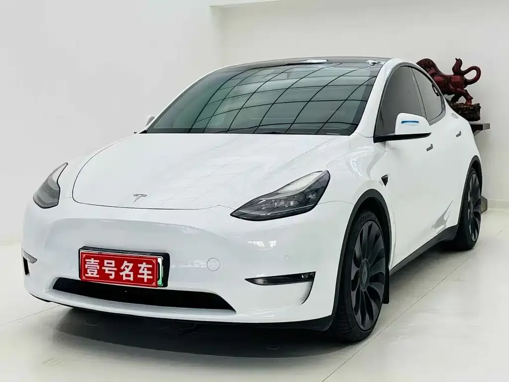 Tesla Model Y — фото 1