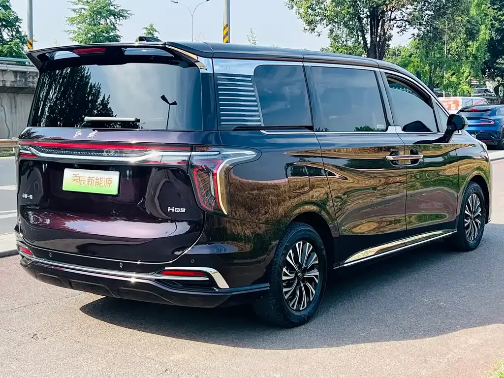 Hongqi HQ9 PHEV — фото 8