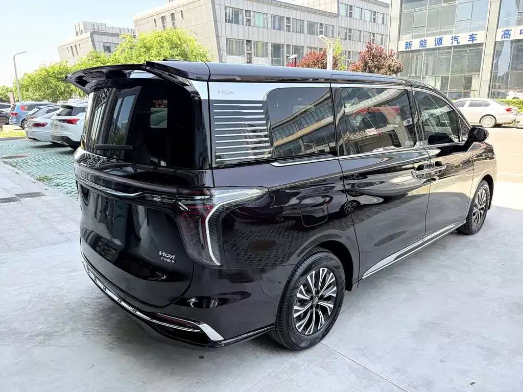 Hongqi HQ9 PHEV — фото 10