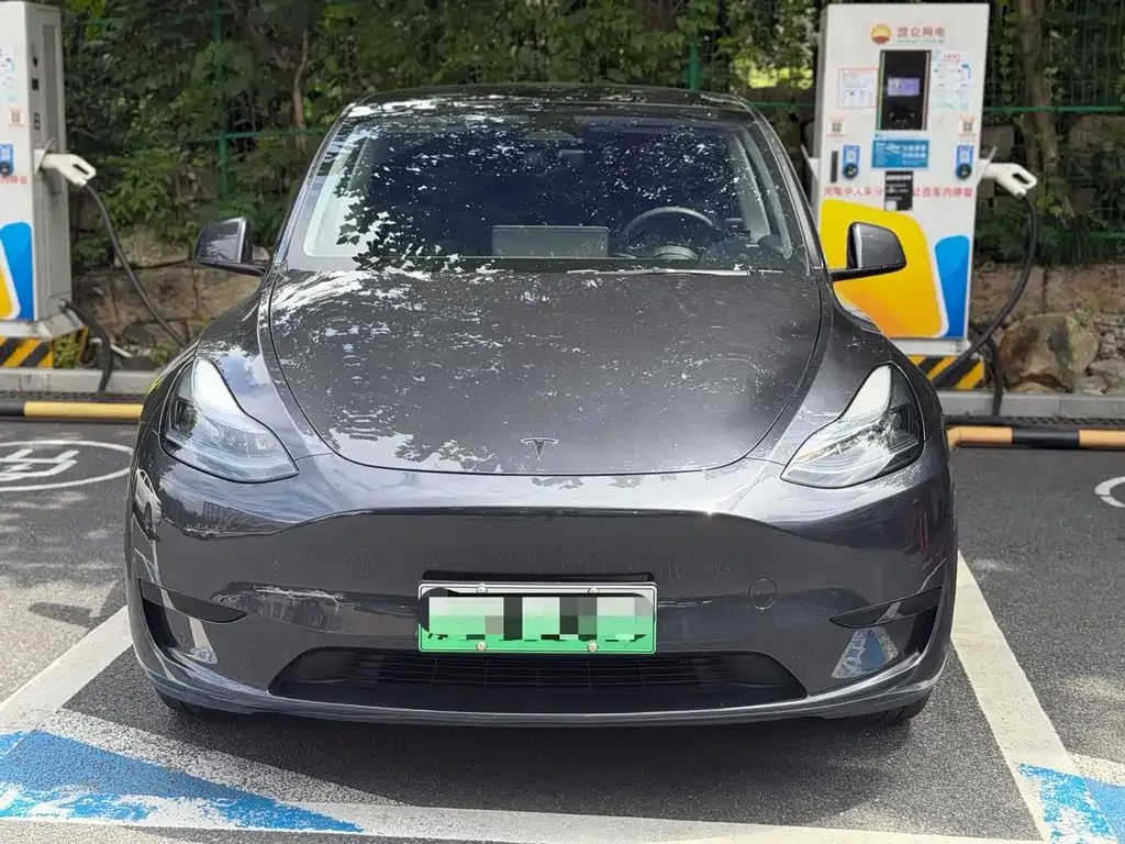 Tesla Model Y — фото 6
