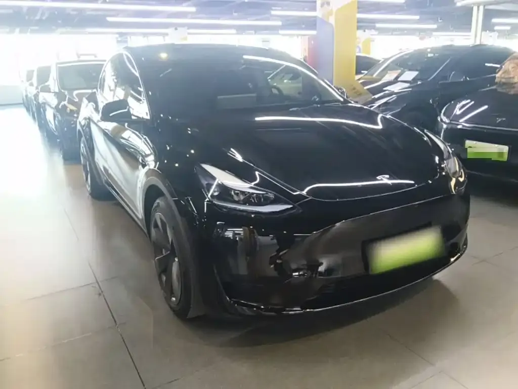 Tesla Model Y — фото 2