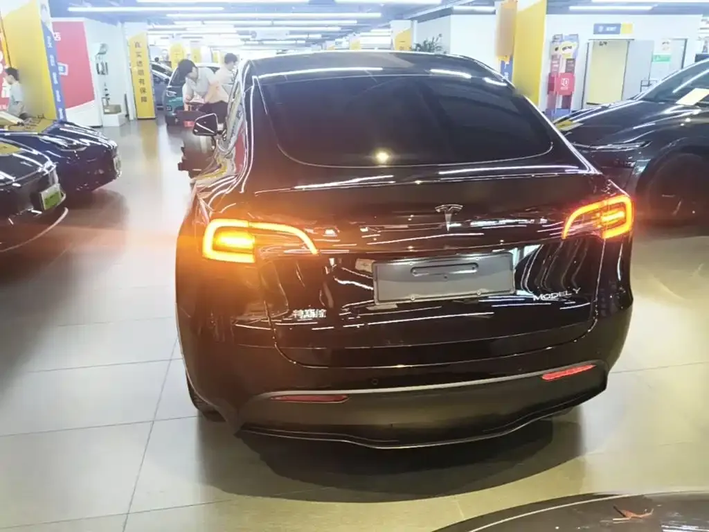 Tesla Model Y — фото 10