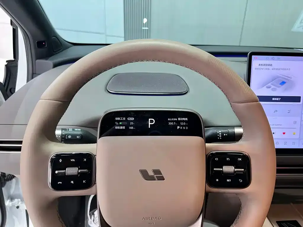 Li Auto Li i6 — фото 10