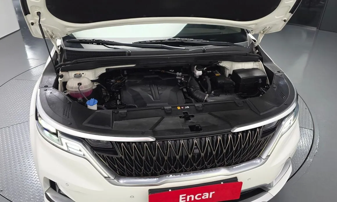 Kia Carnival — фото 10