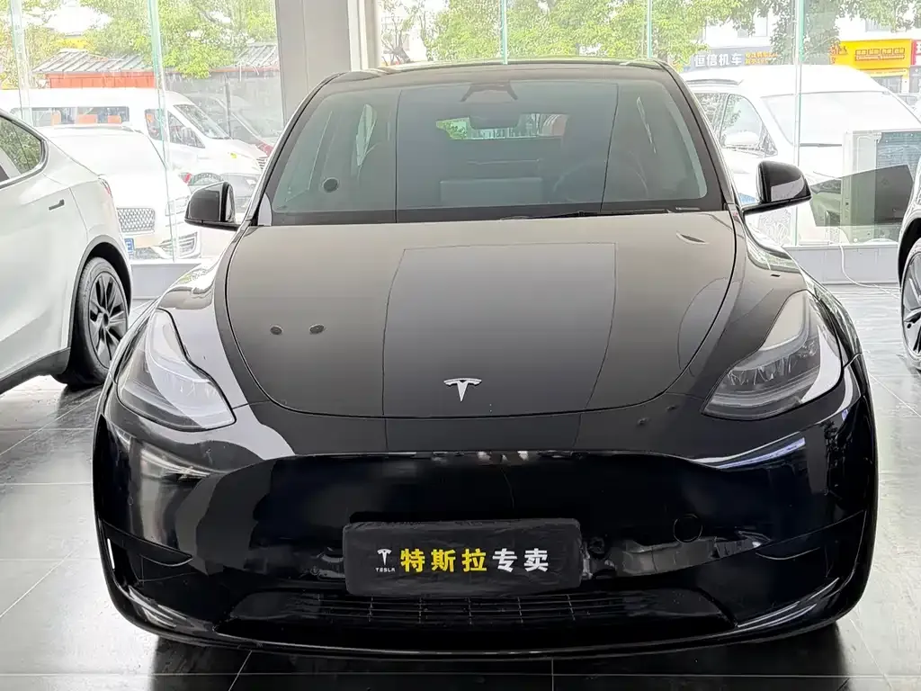 Tesla Model Y — фото 2