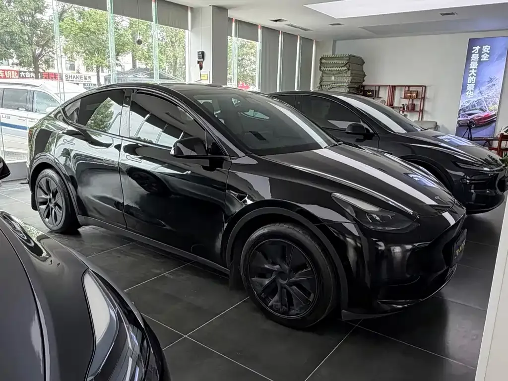Tesla Model Y — фото 7