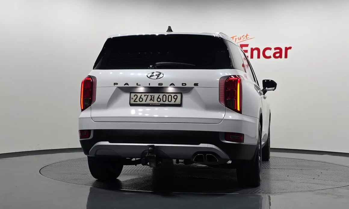 Hyundai Palisade — фото 8