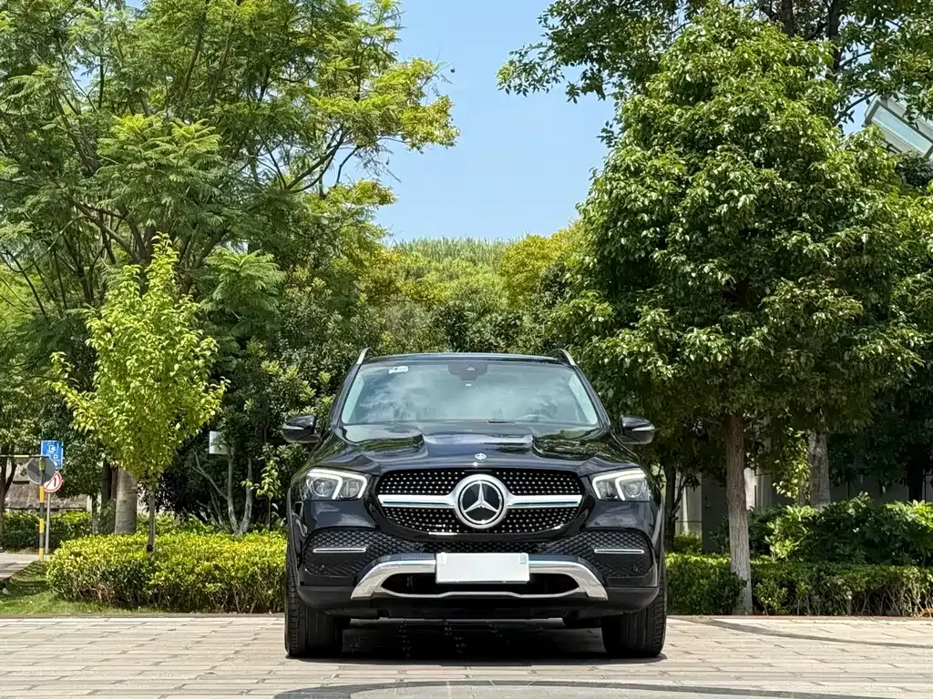 Mercedes-Benz GLE (Import) — фото 9