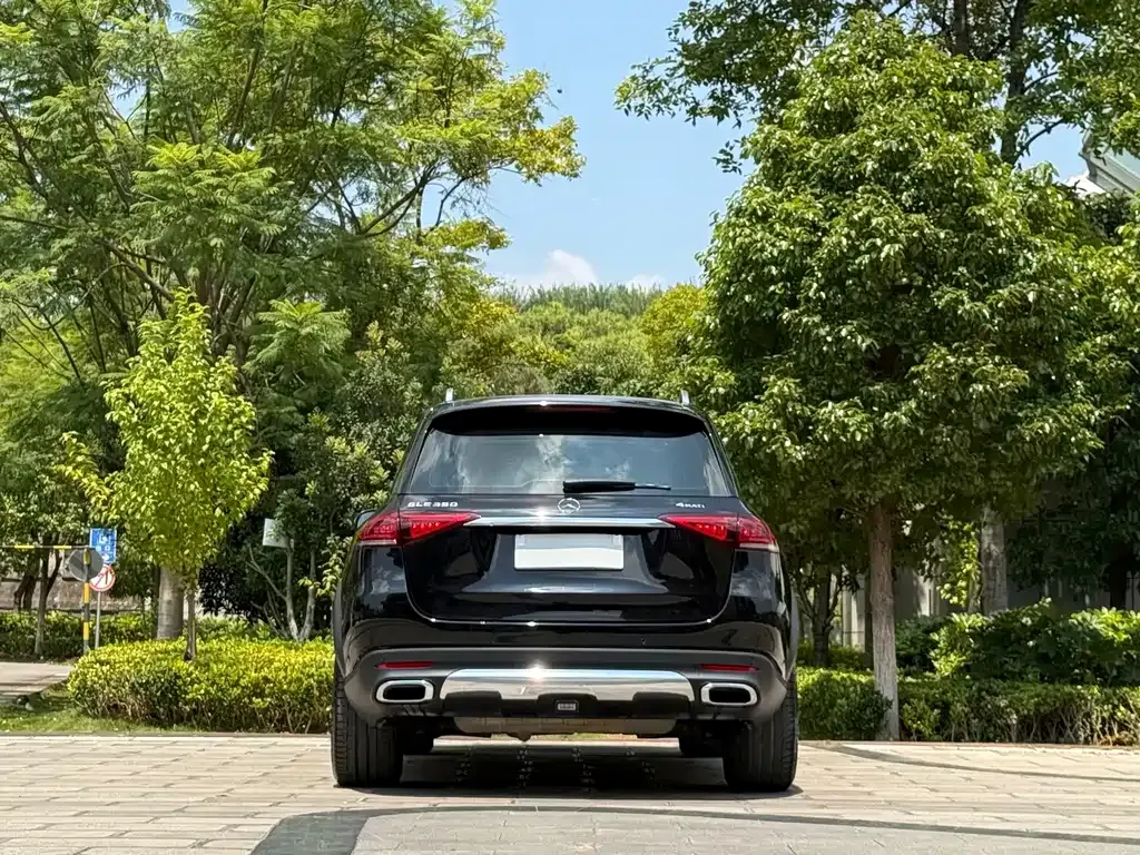 Mercedes-Benz GLE (Import) — фото 6