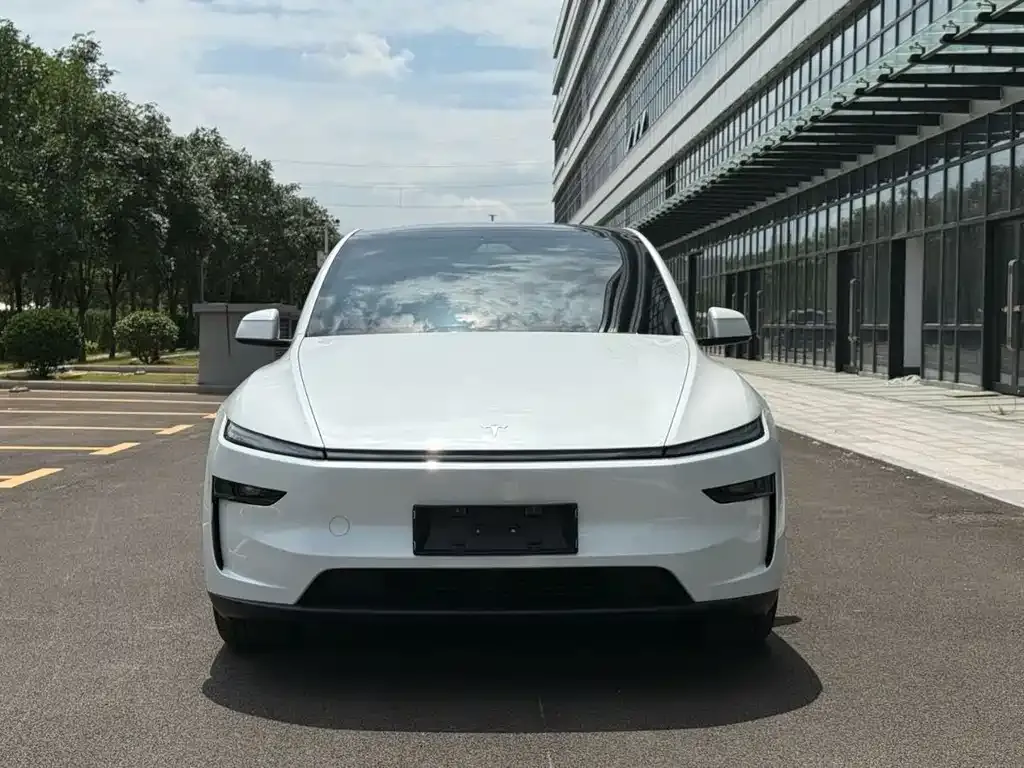 Tesla Model Y — фото 8