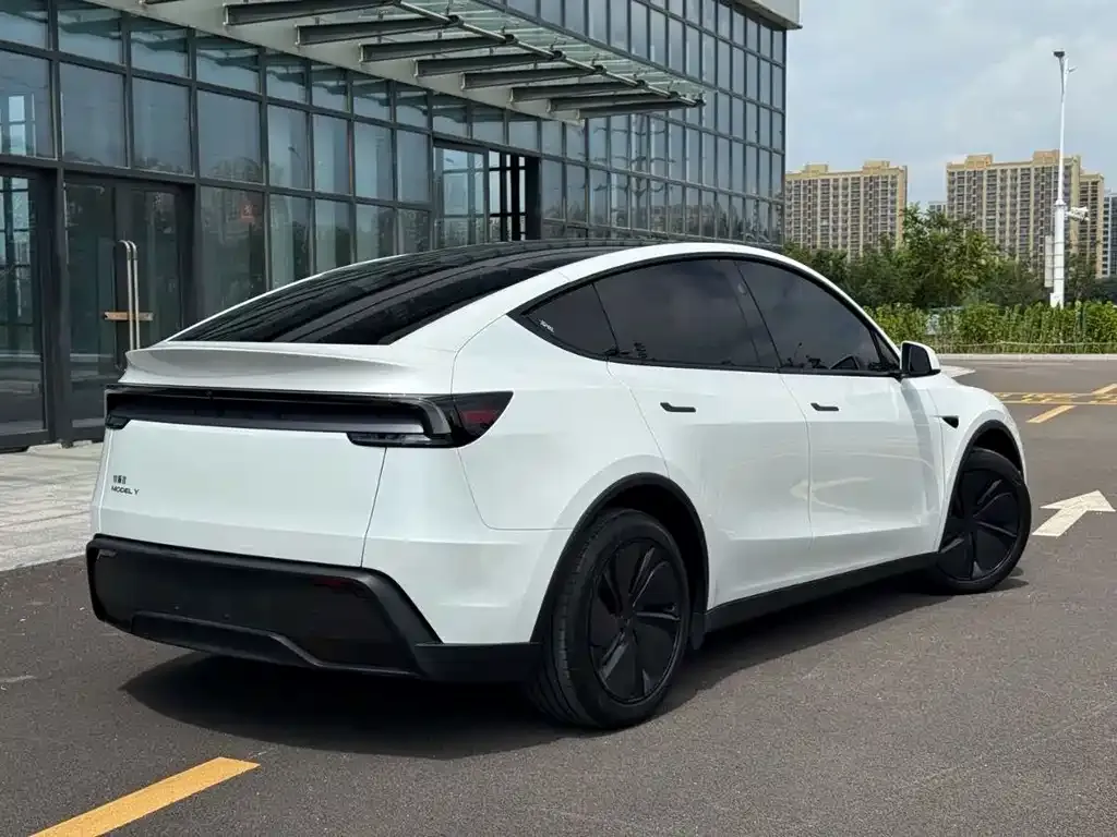 Tesla Model Y — фото 10