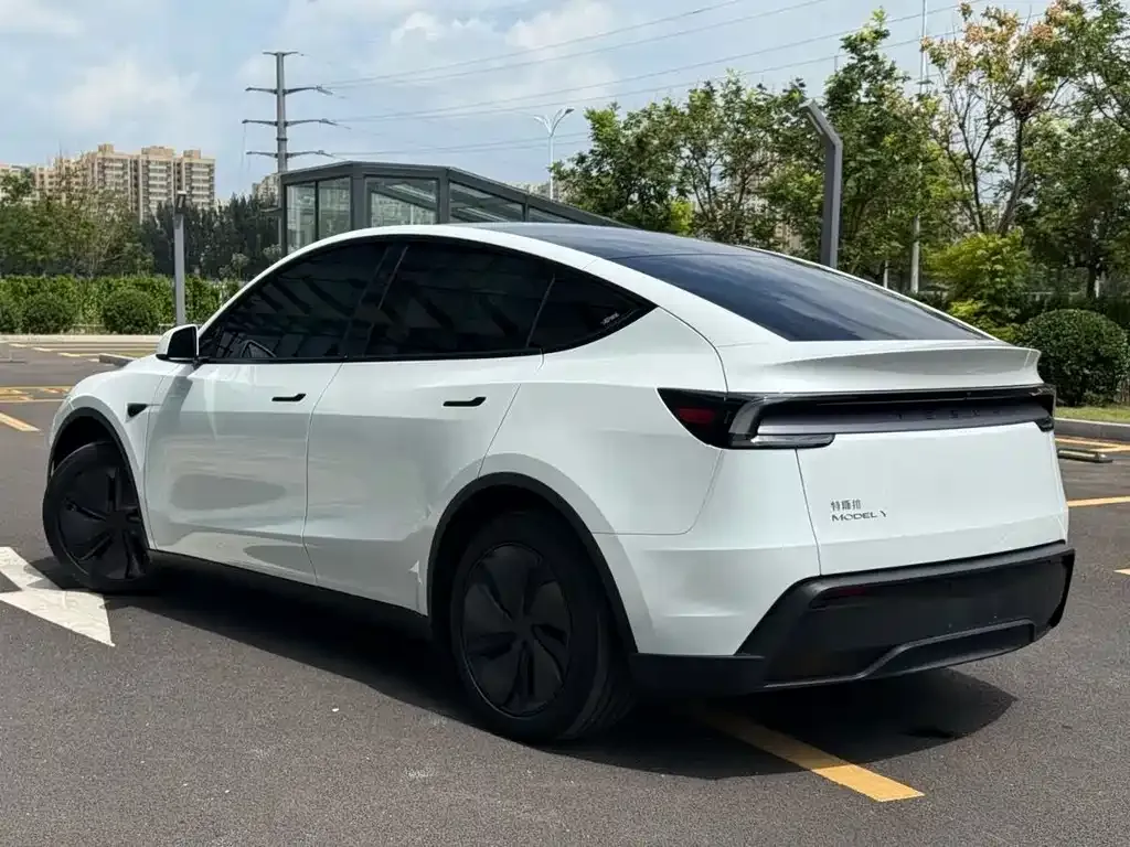 Tesla Model Y — фото 9