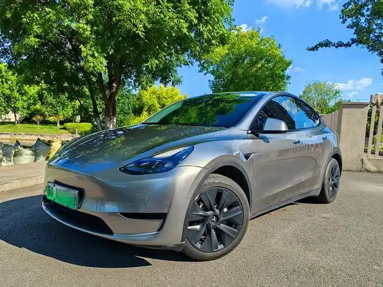 Tesla Model Y — фото 1
