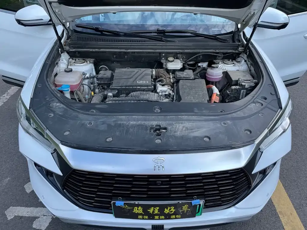 BYD Pro New Energy — фото 8