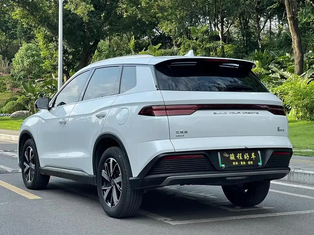 BYD Pro New Energy — фото 10