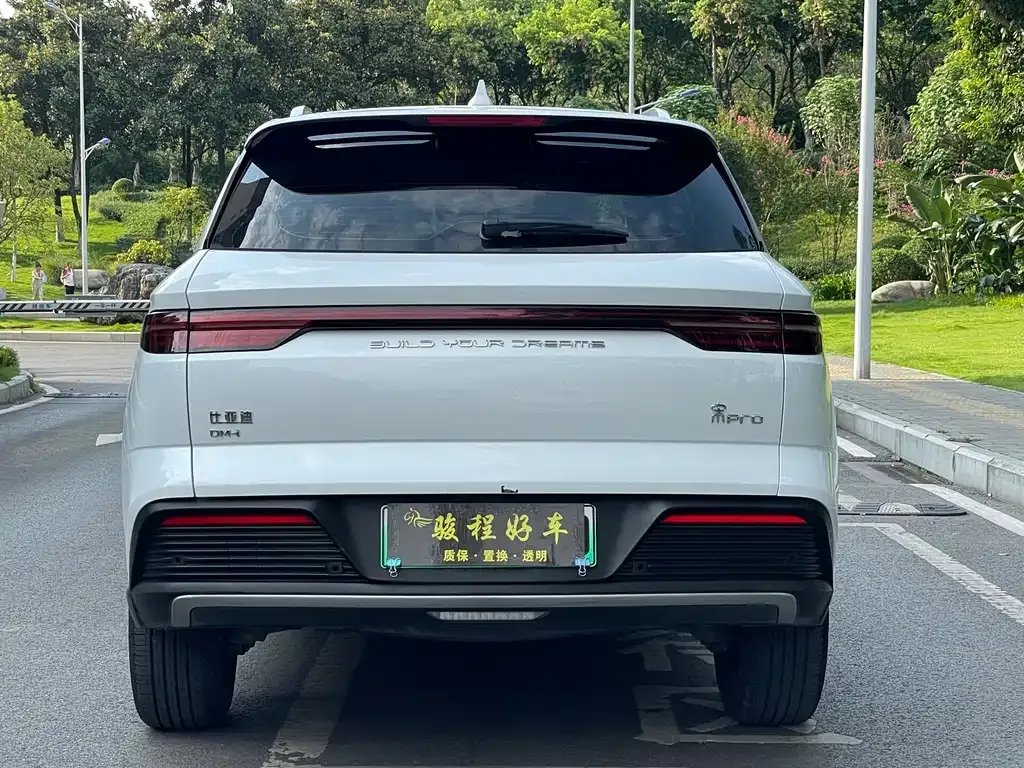 BYD Pro New Energy — фото 4