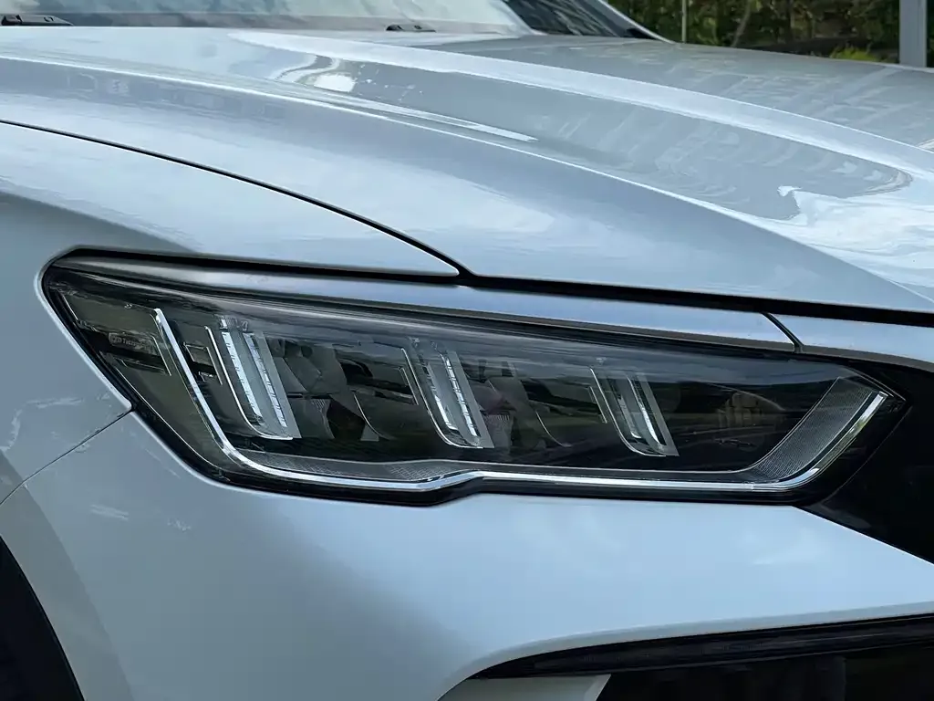 BYD Pro New Energy — фото 3