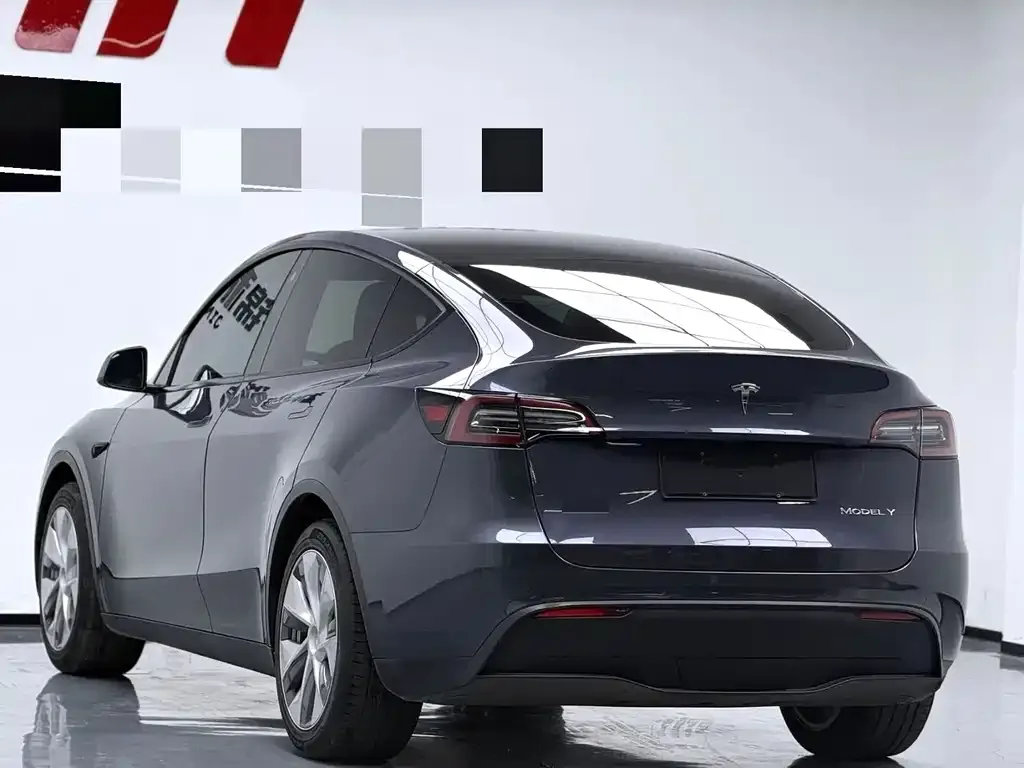 Tesla Model Y — фото 2
