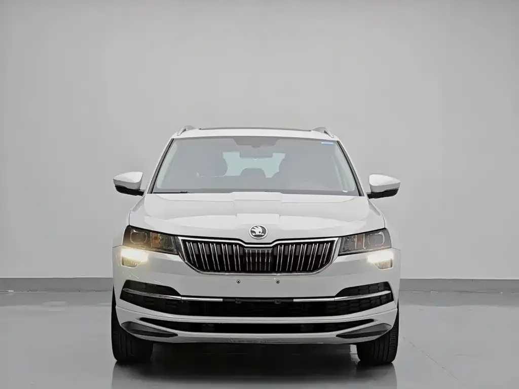 Skoda Karoq — фото 3