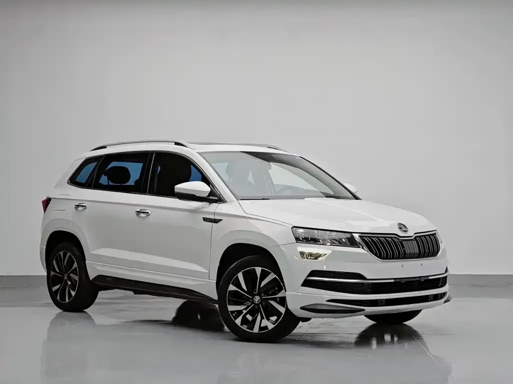 Skoda Karoq — фото 4