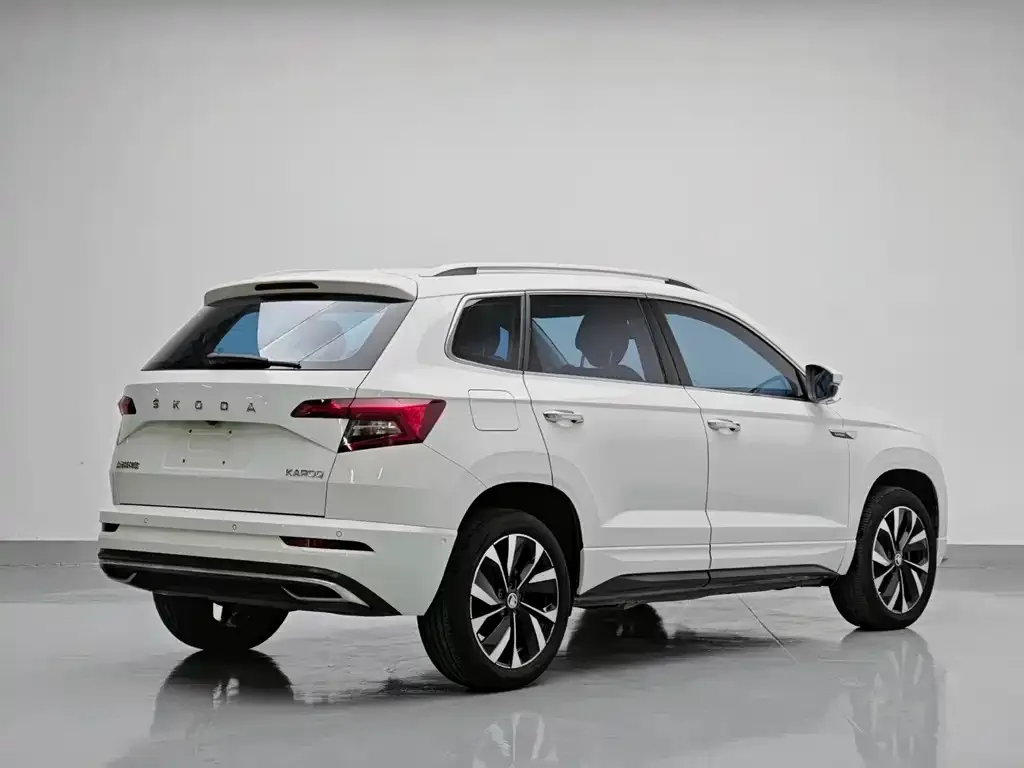 Skoda Karoq — фото 10