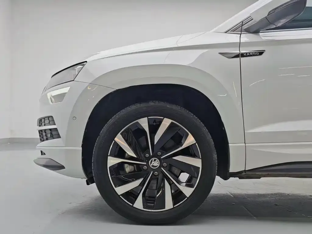 Skoda Karoq — фото 9