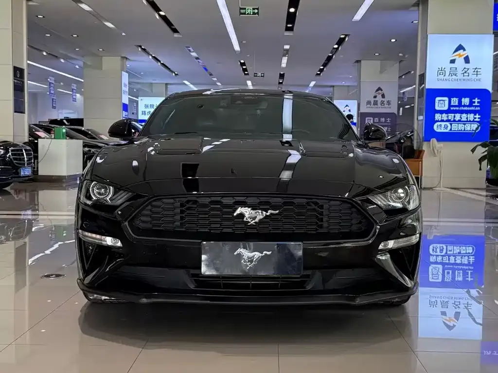 Ford Mustang — фото 1