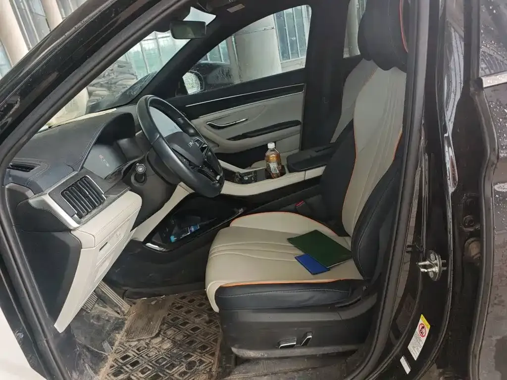 BYD PLUS New Energy — фото 10