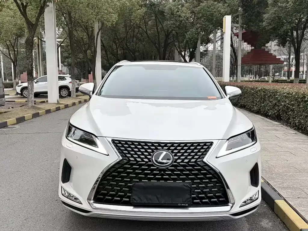 Lexus RX — фото 9