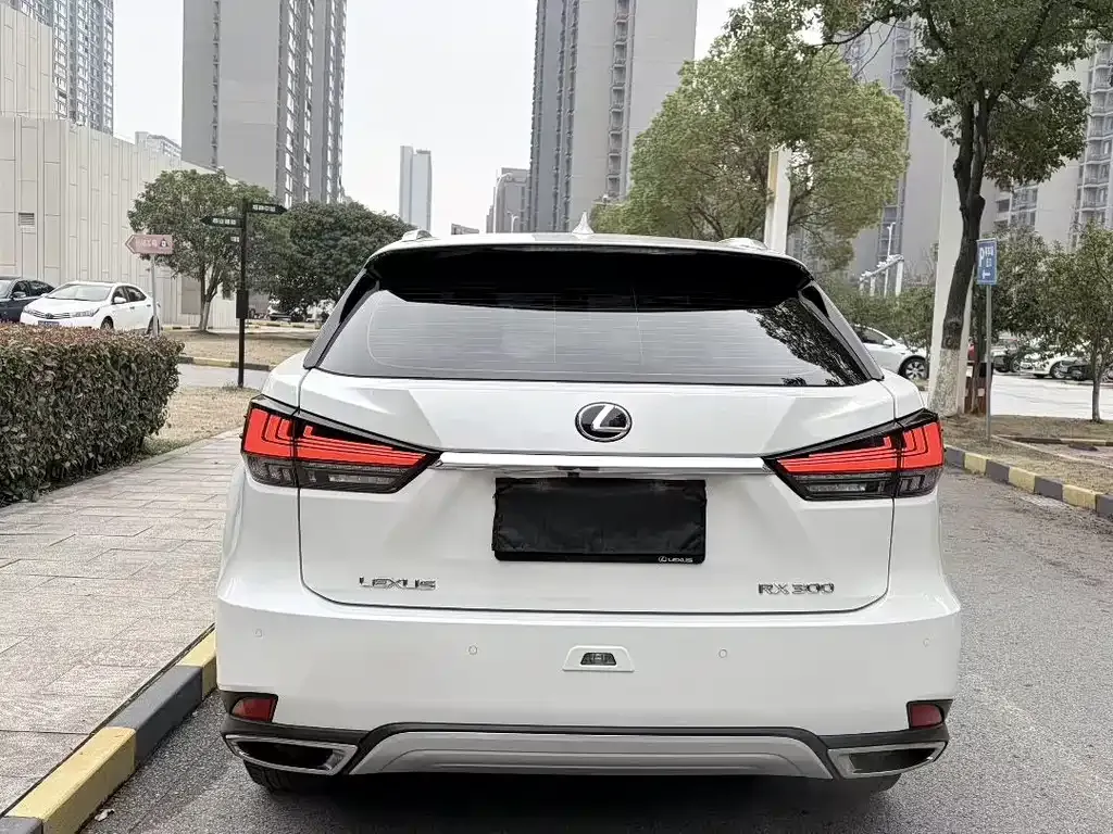 Lexus RX — фото 4