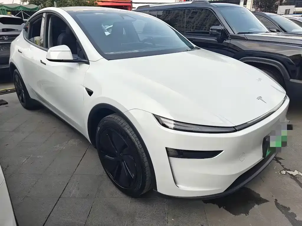 Tesla Model Y — фото 9