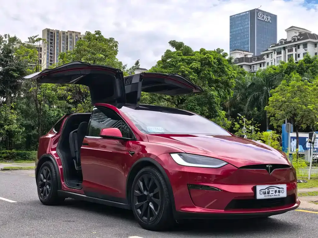 Tesla Model X — фото 5