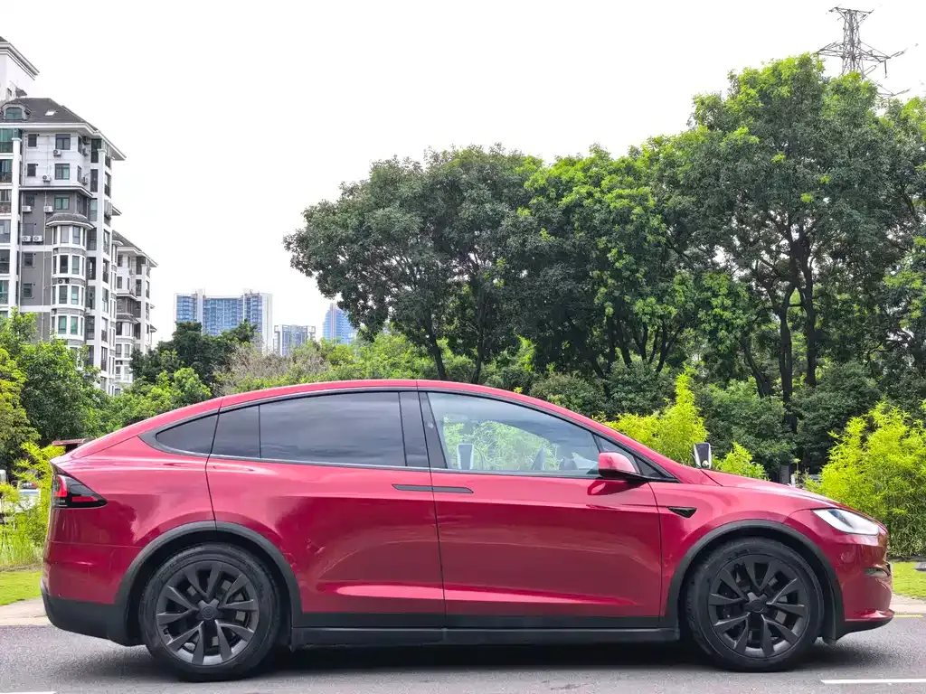 Tesla Model X — фото 10