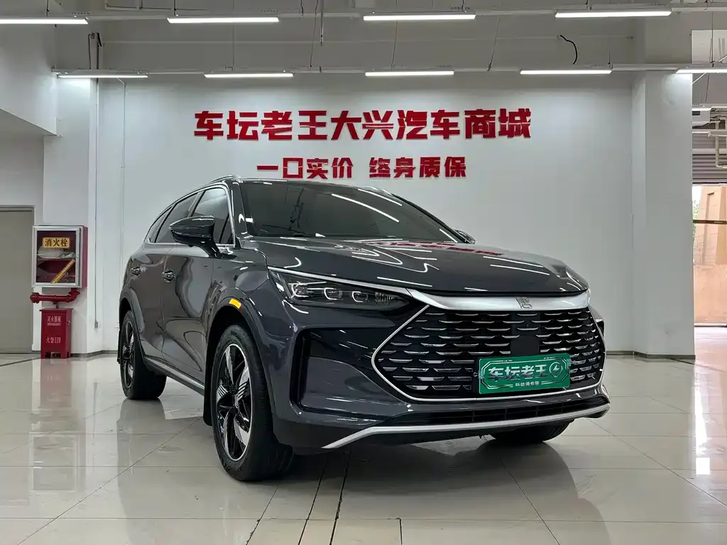 BYD Tang New Energy — фото 6