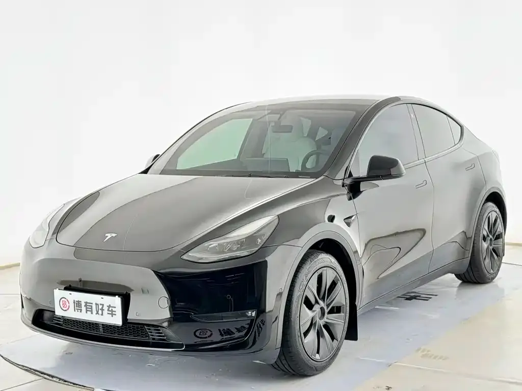 Tesla Model Y — фото 1