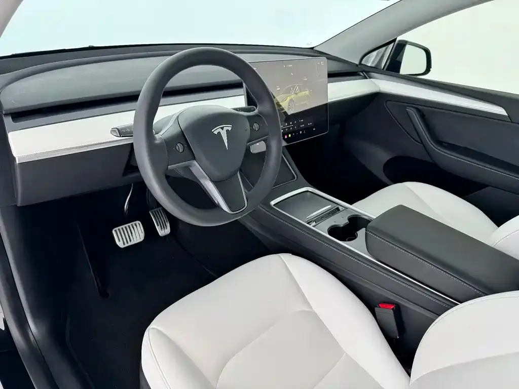 Tesla Model Y — фото 9