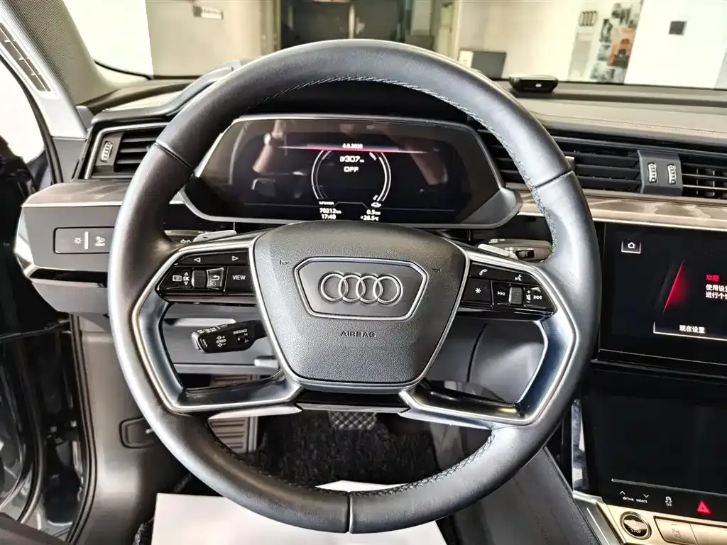 Audi e-tron (Import) — фото 6