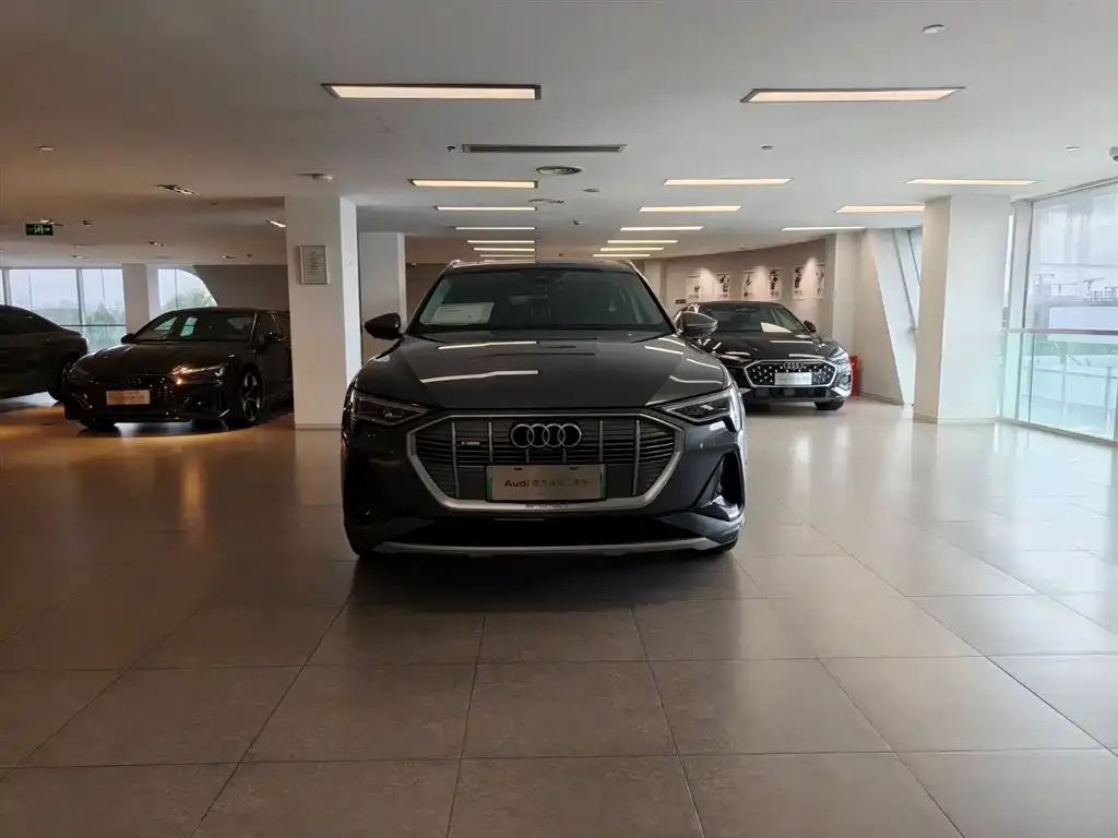 Audi e-tron (Import) — фото 5